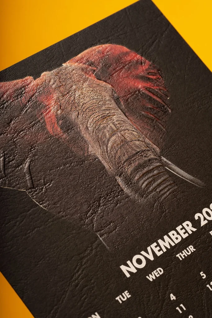 Anglo-Calendar-November-1